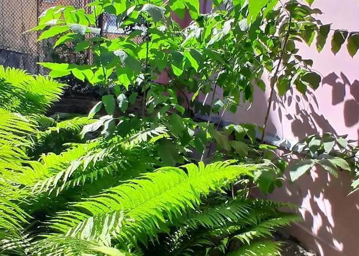 1ком апартаменты,парковка,улхорватская