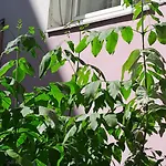 1ком апартаменты,парковка,улхорватская Lviv
