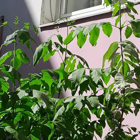 1Ком Апартаменты,Парковка,Улхорватская Lviv