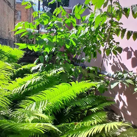 1Ком Апартаменты,Парковка,Улхорватская