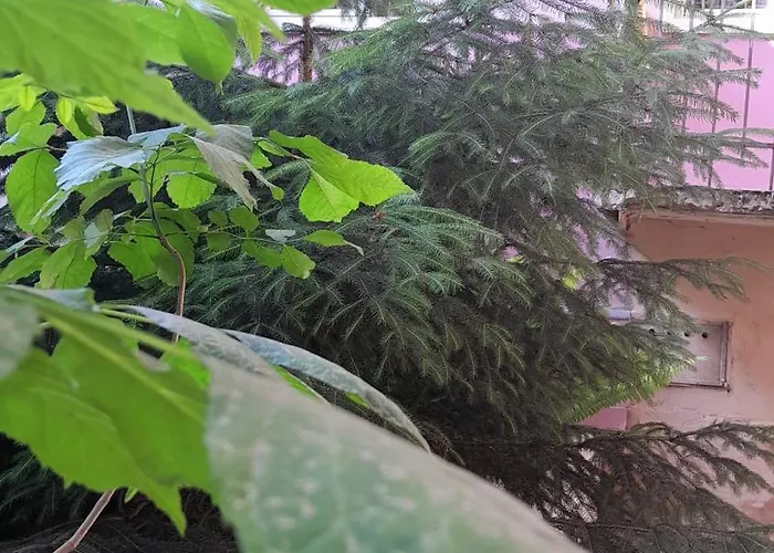 Apartment 1Ком Апартаменты,Парковка,Улхорватская